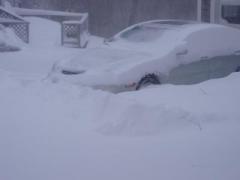 Lexus in Winter 3