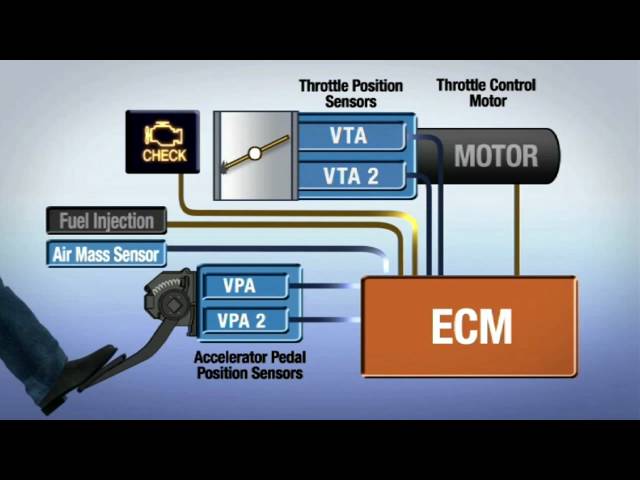 More information about "Video: Electronic Throttle Control - Lexus"