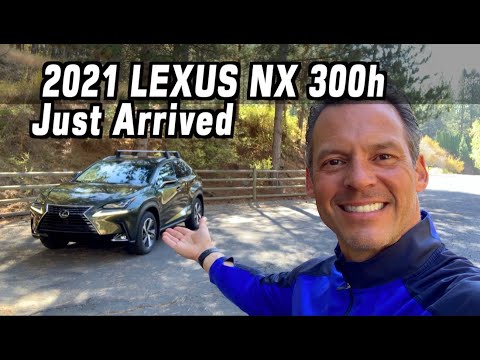 More information about "Video: Just Arrived: 2021 Lexus NX 300h on Everyman Driver"