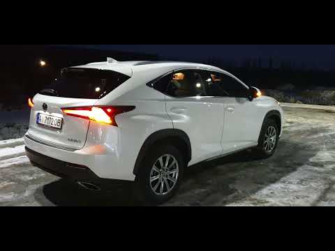 More information about "Video: Lexus nx 300 2019 USA"