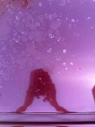 IMG_4553.jpeg