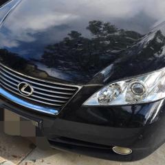 codylex350